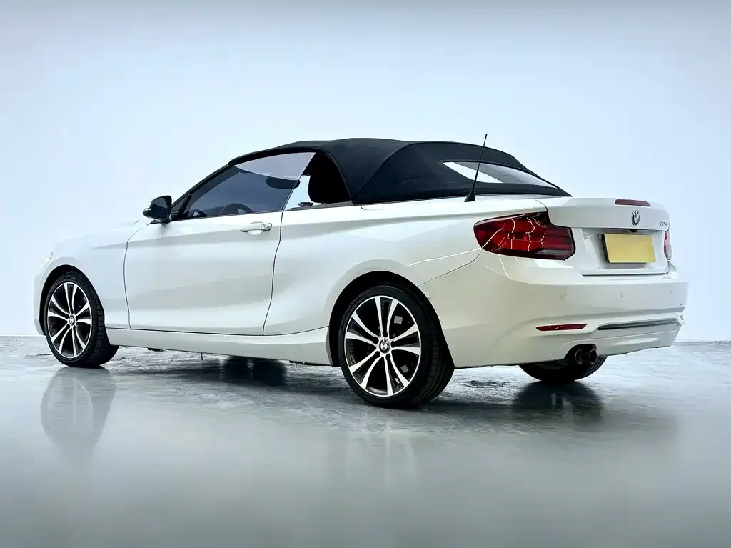BMW 2 Series (Import) 2021 из CN, фото 9