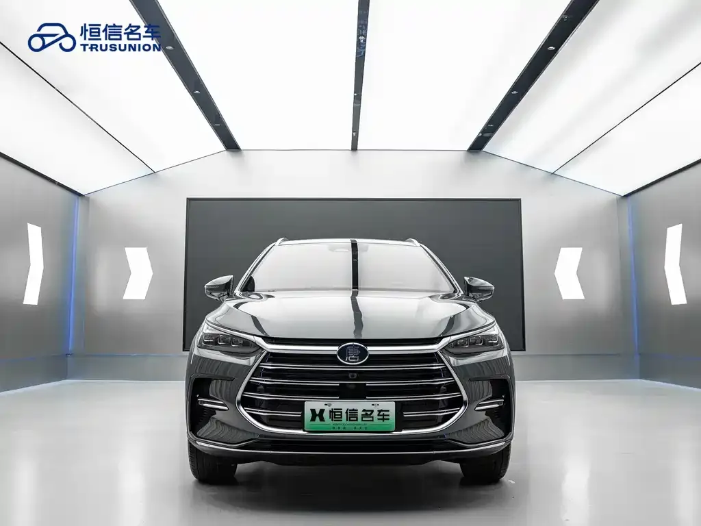 BYD Tang New Energy 2023 из CN, фото 2