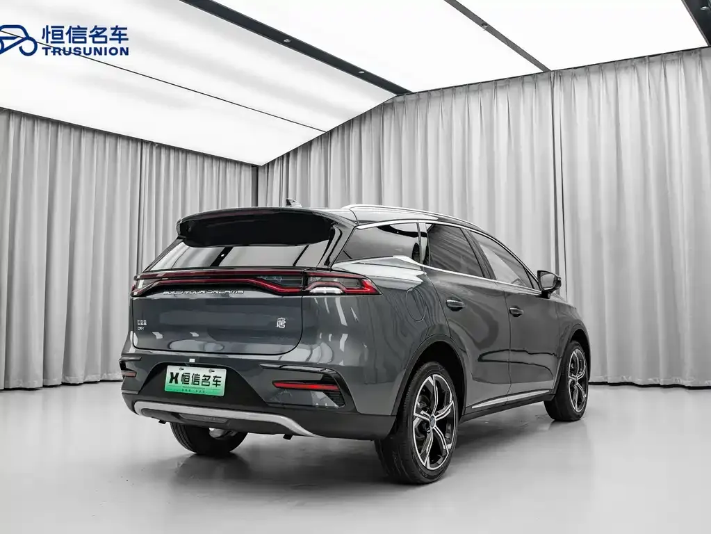 BYD Tang New Energy 2023 из CN, фото 10