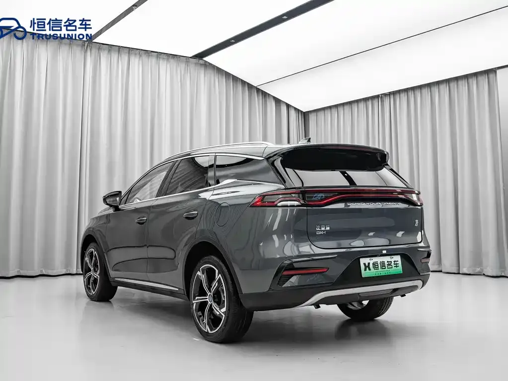 BYD Tang New Energy 2023 из CN, фото 9