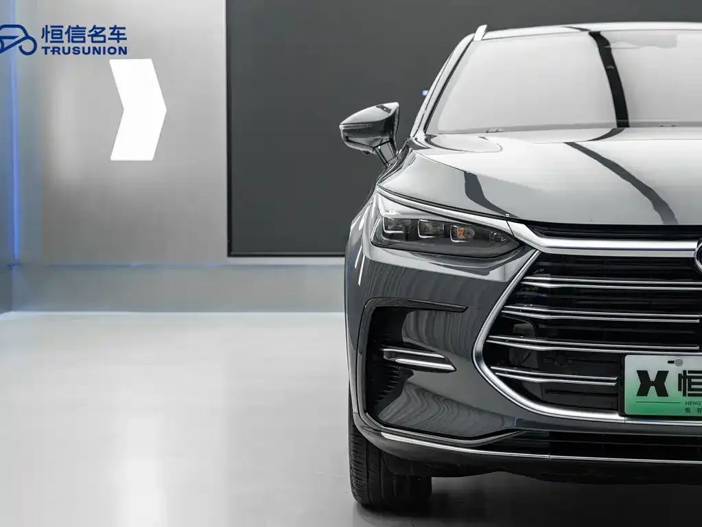 BYD Tang New Energy 2023 из CN, фото 4