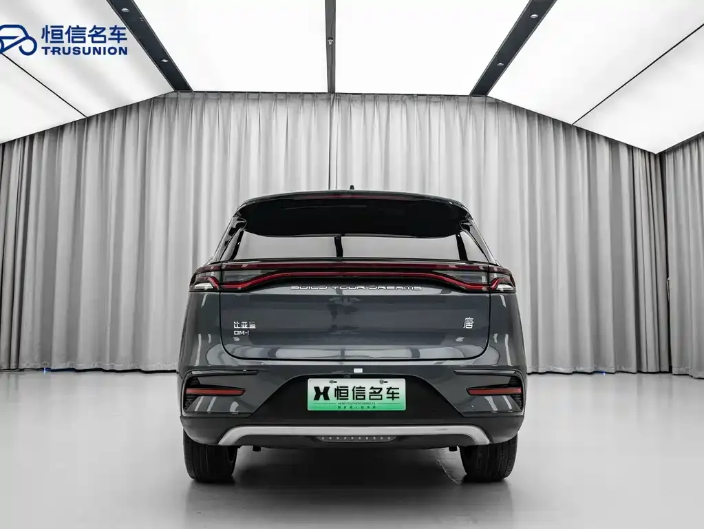 BYD Tang New Energy 2023 из CN, фото 6