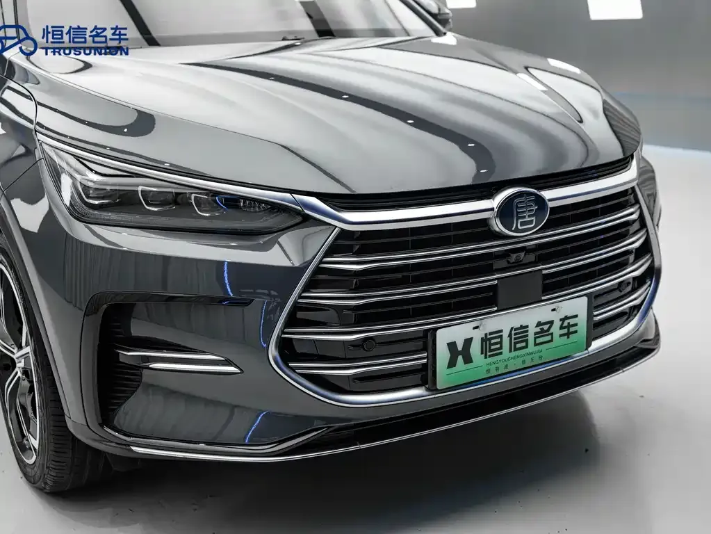 BYD Tang New Energy 2023 из CN, фото 5