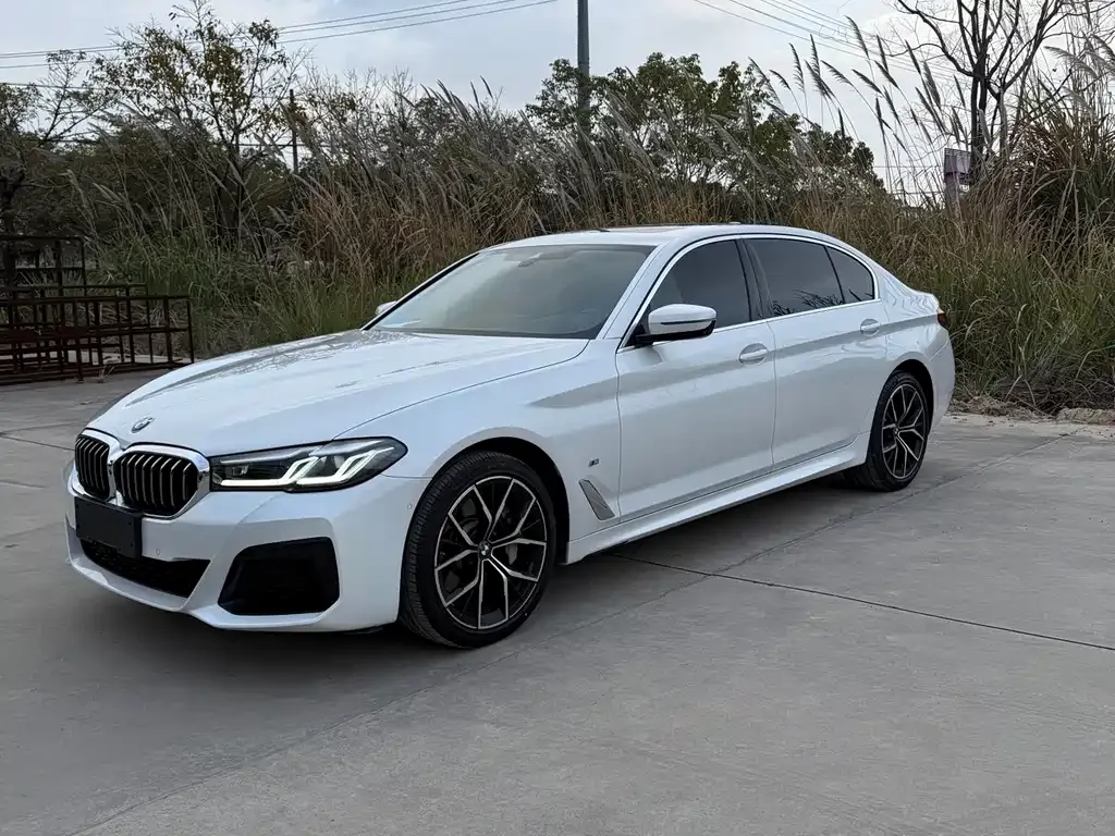 BMW 5 Series 2021 из CN, фото 1