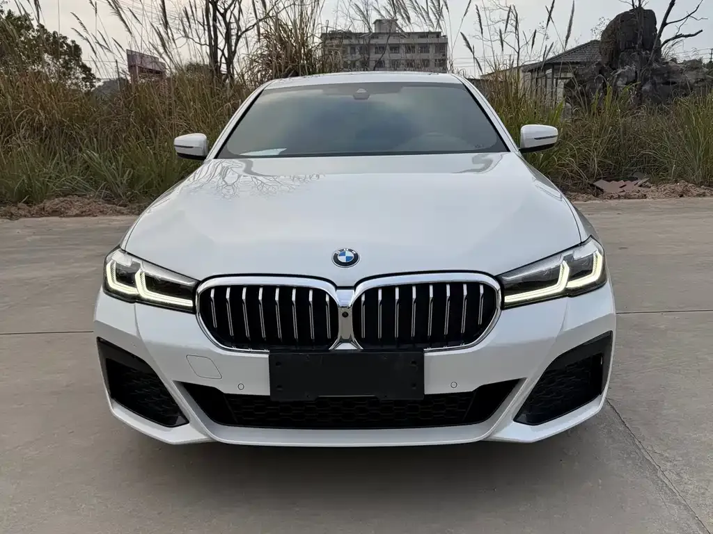 BMW 5 Series 2021 из CN, фото 7