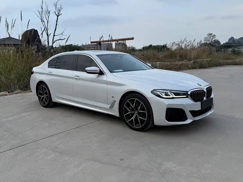 BMW 5 Series 2021 из CN, фото 6
