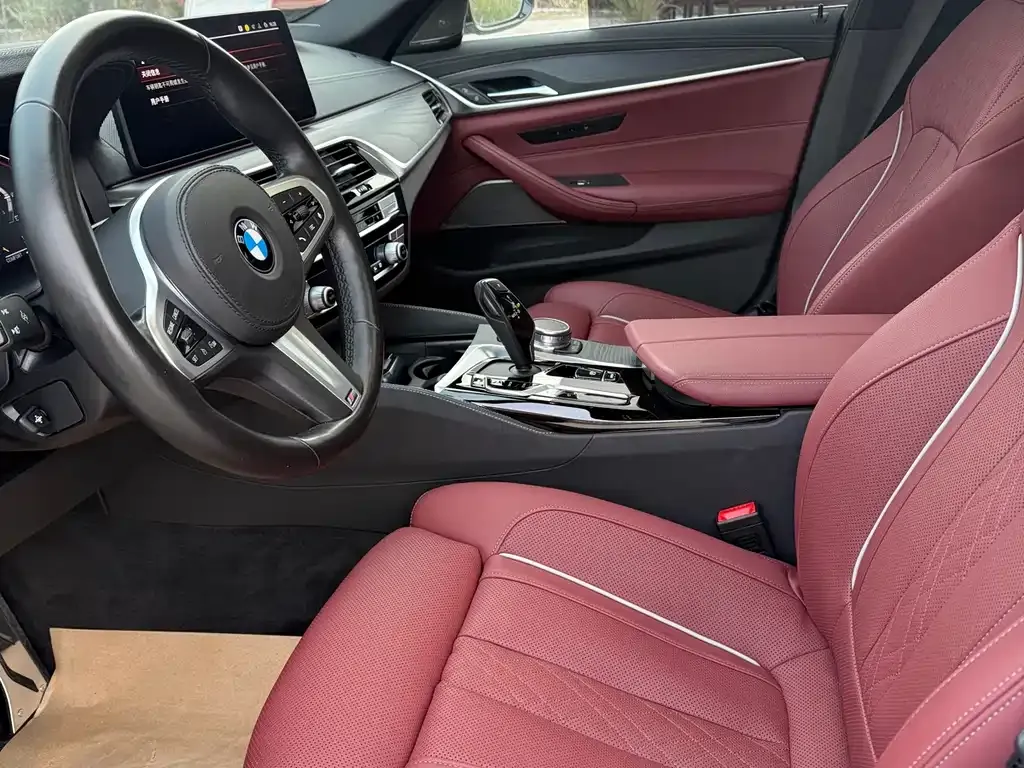 BMW 5 Series 2021 из CN, фото 3
