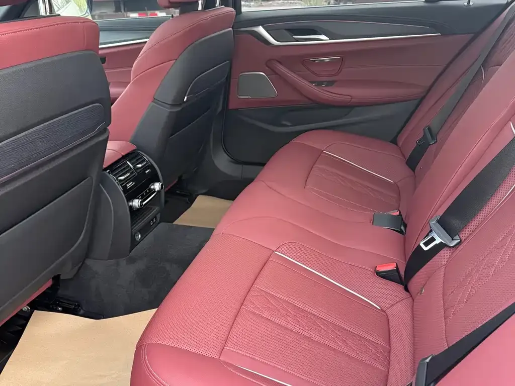 BMW 5 Series 2021 из CN, фото 8