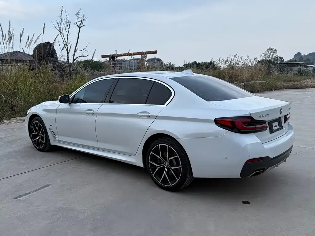 BMW 5 Series 2021 из CN, фото 4