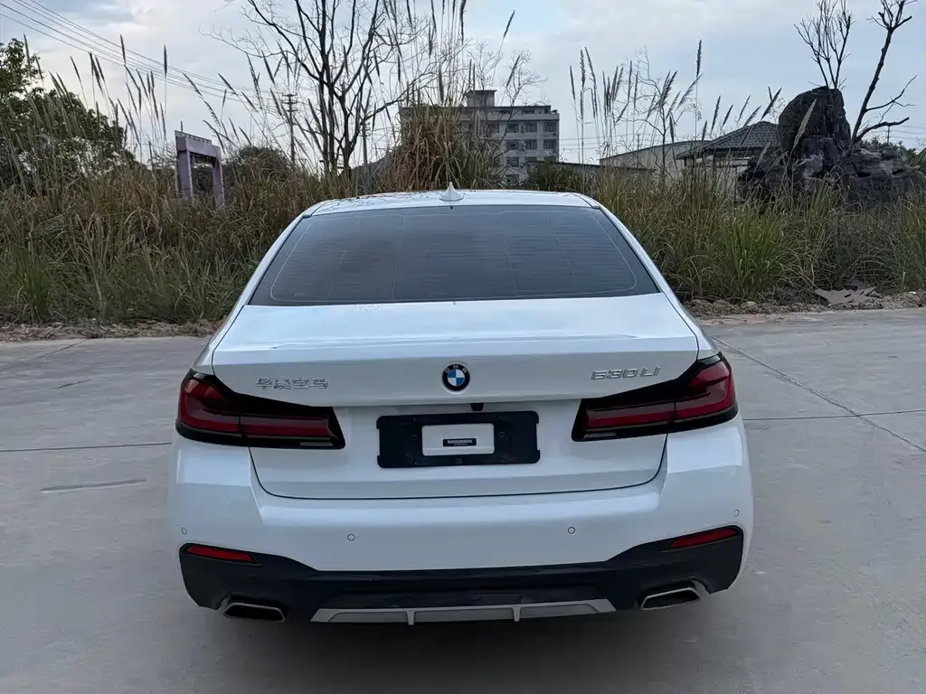 BMW 5 Series 2021 из CN, фото 5