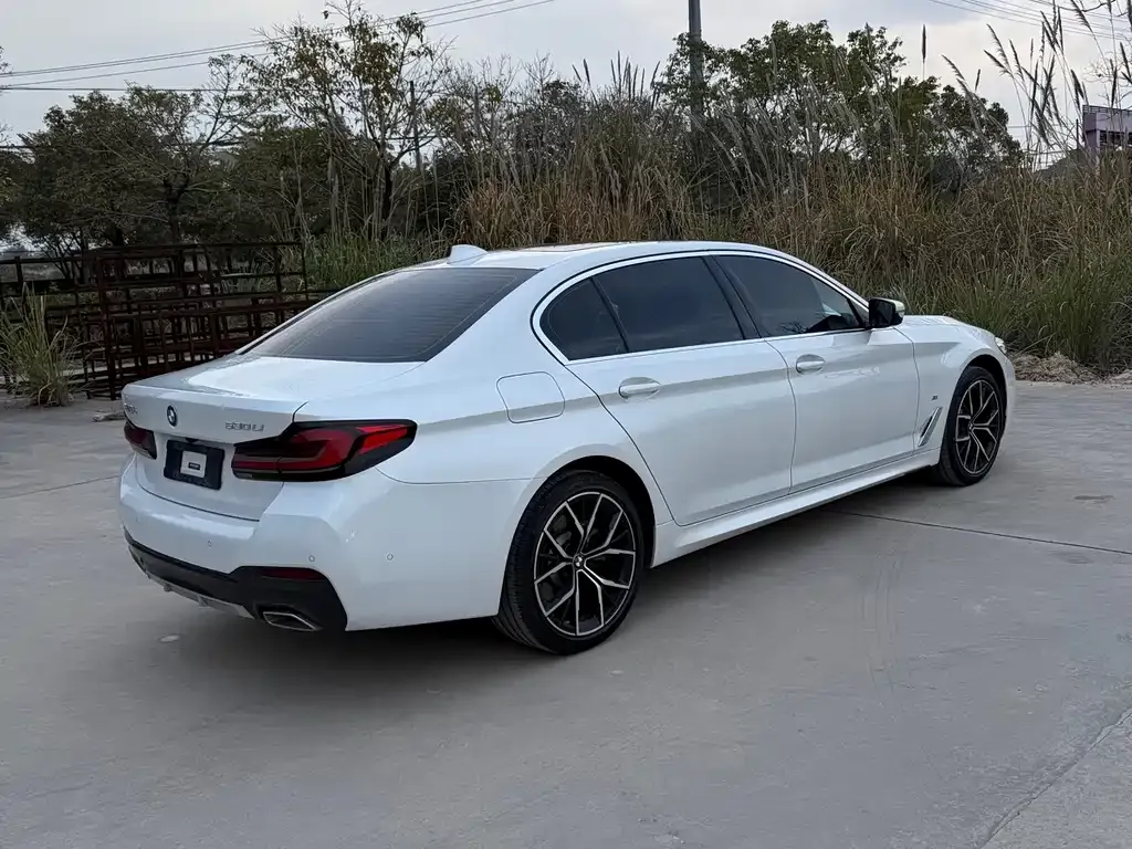 BMW 5 Series 2021 из CN, фото 9