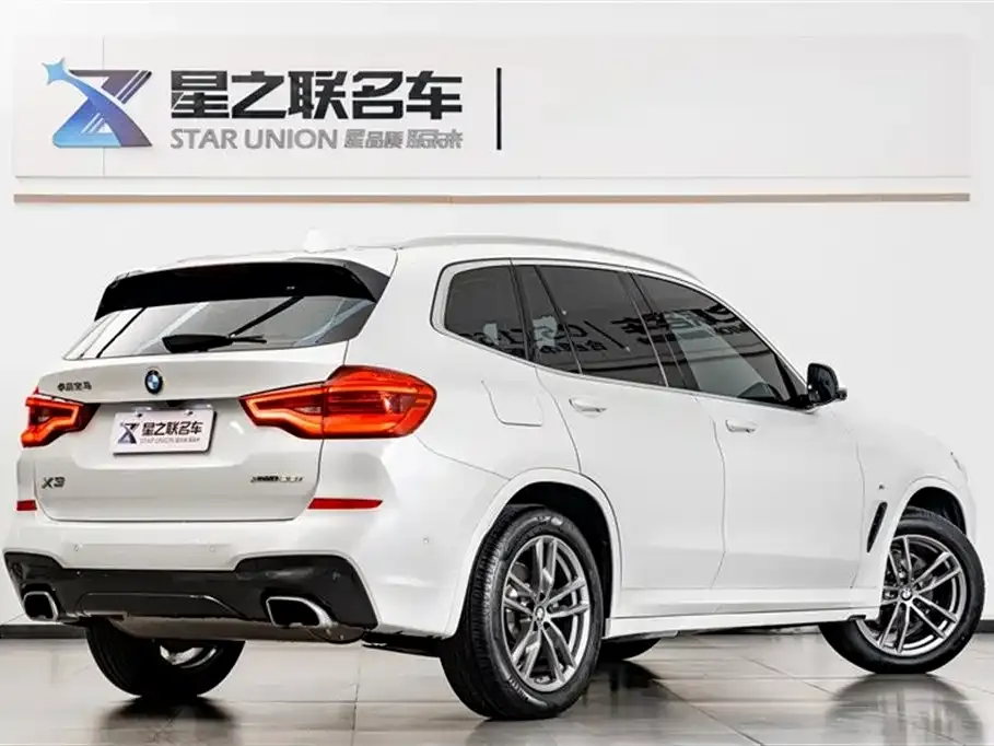 BMW X3 2021 из CN, фото 9