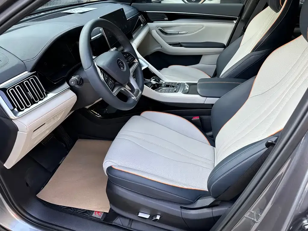 BYD PLUS New Energy 2022 из CN, фото 10