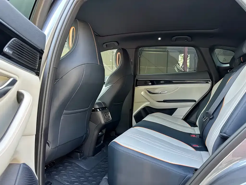 BYD PLUS New Energy 2022 из CN, фото 3