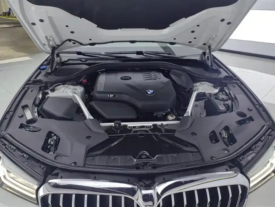 BMW 5 Series 2023 из CN, фото 10