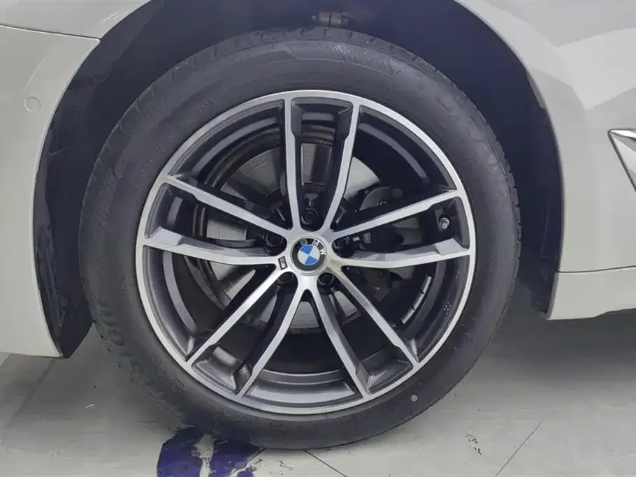 BMW 5 Series 2023 из CN, фото 7