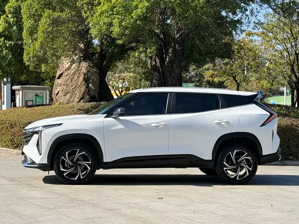 Geely Boyue 2024 из CN, фото 10