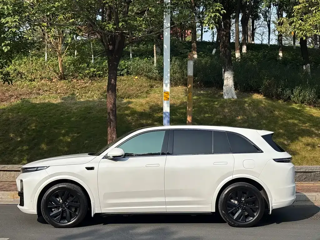 Li Auto L7 2023 из CN, фото 4