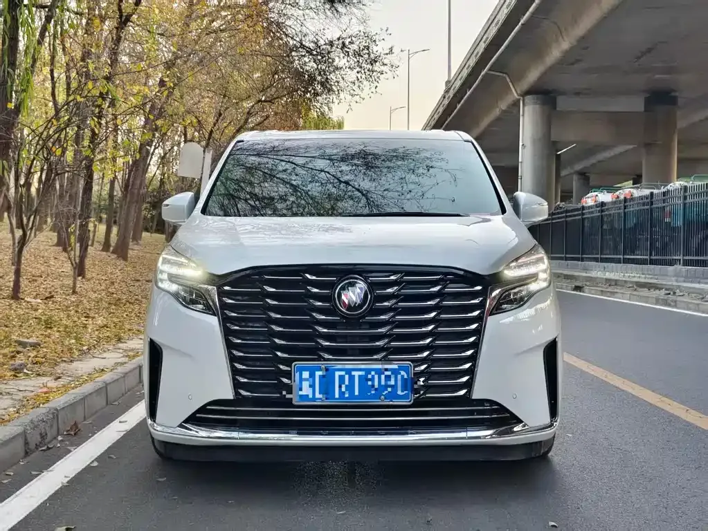 Buick GL8 2023 из CN, фото 8