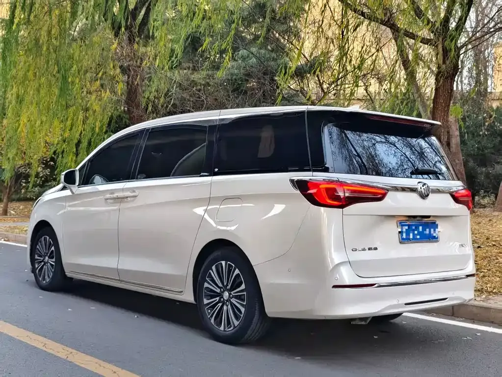 Buick GL8 2023 из CN, фото 4