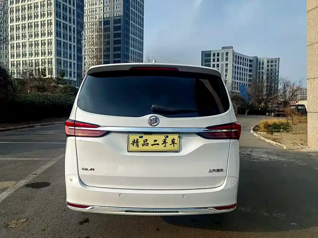Buick GL8 2023 из CN, фото 9