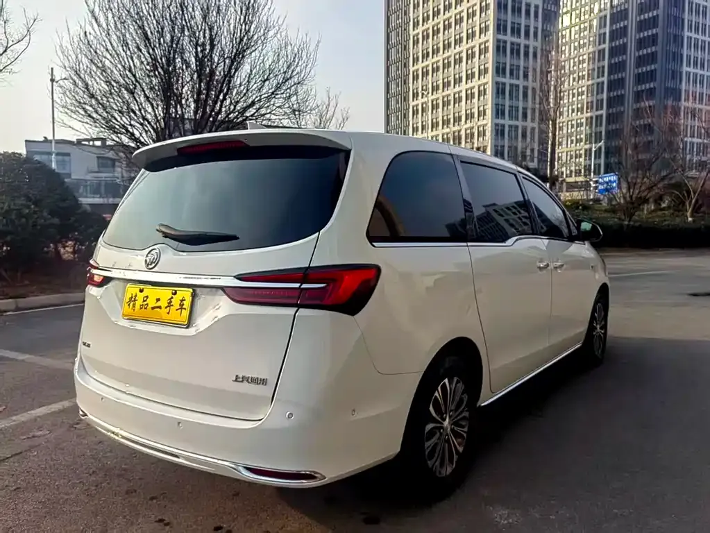 Buick GL8 2023 из CN, фото 6