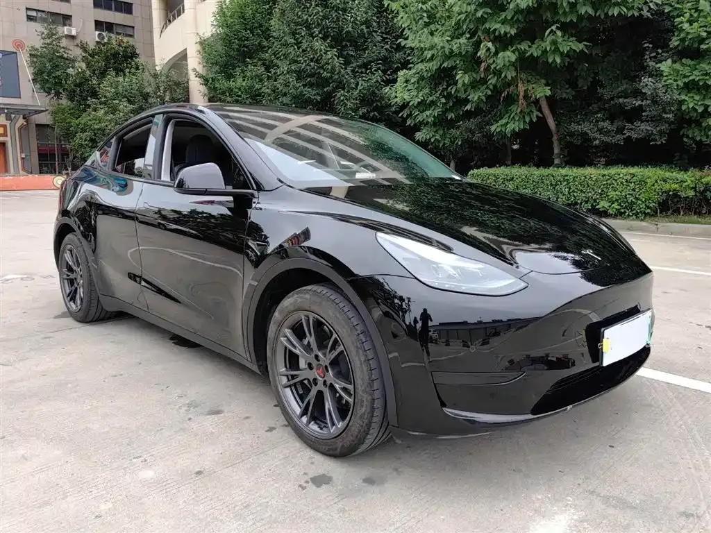 Tesla Model Y 2023 из CN, фото 6
