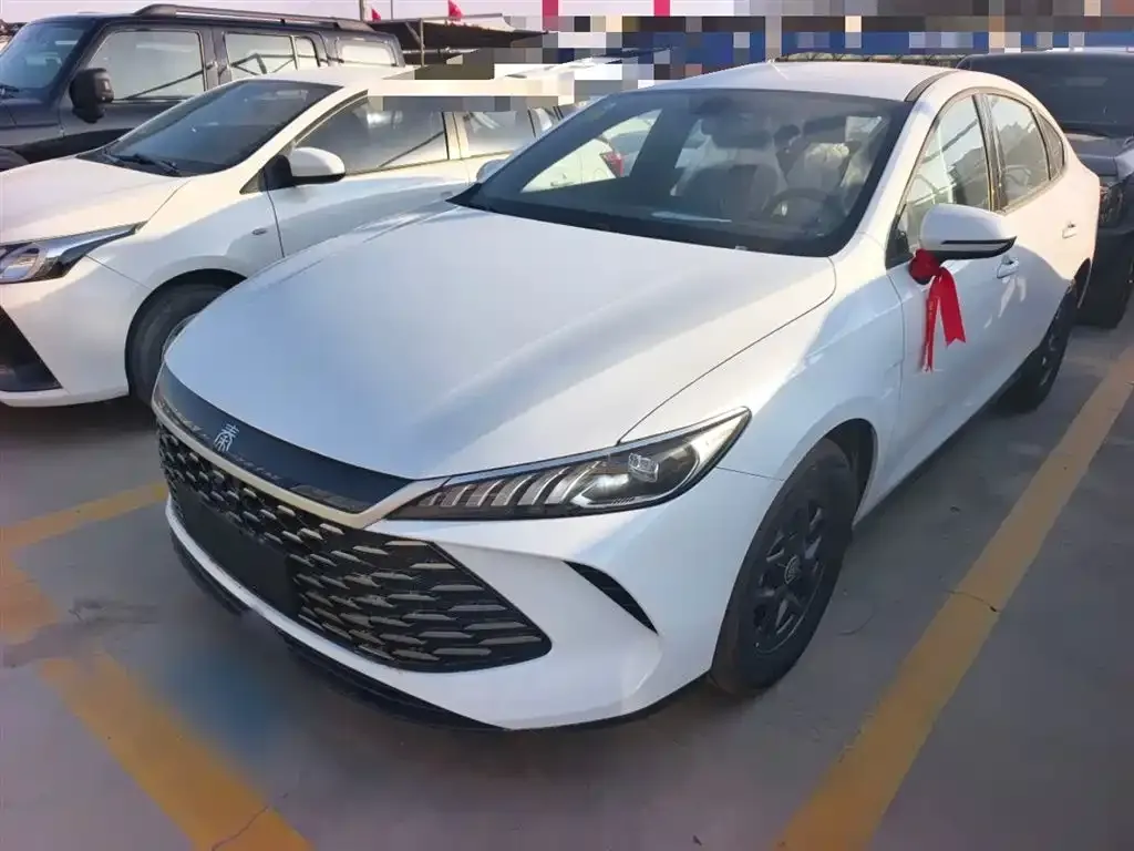 BYD Qin PLUS 2025 из CN, фото 1
