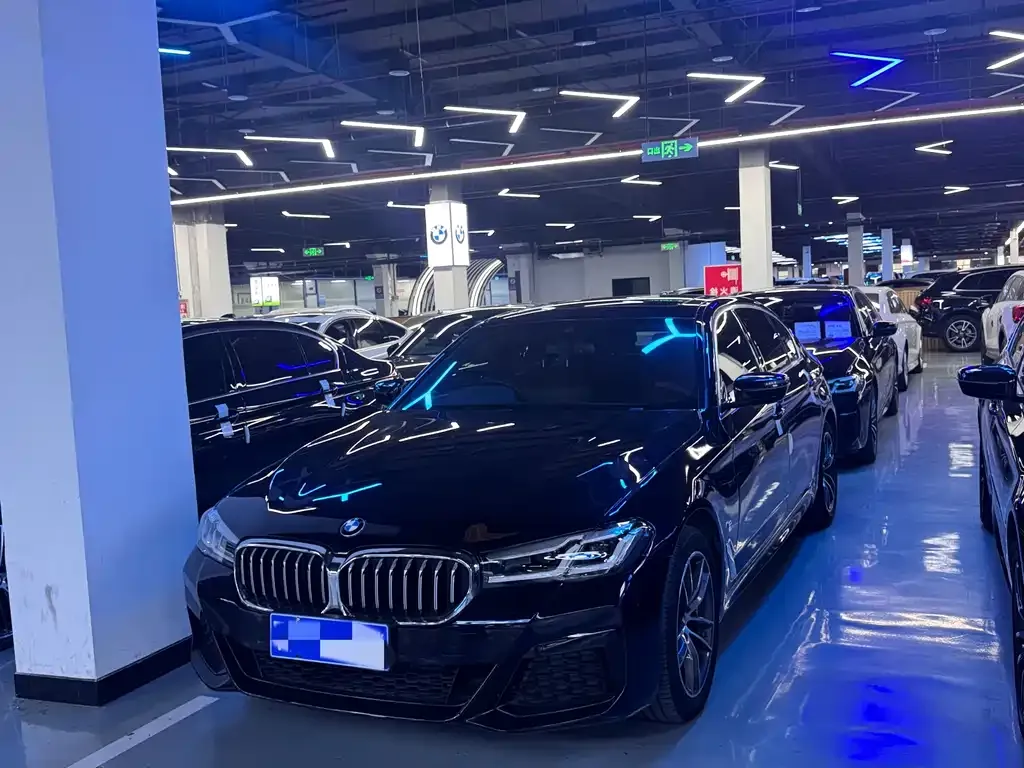BMW 5 Series 2022 из CN, фото 1