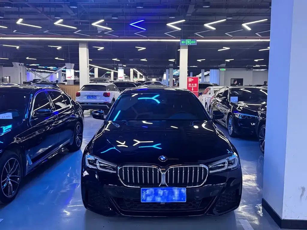 BMW 5 Series 2022 из CN, фото 10