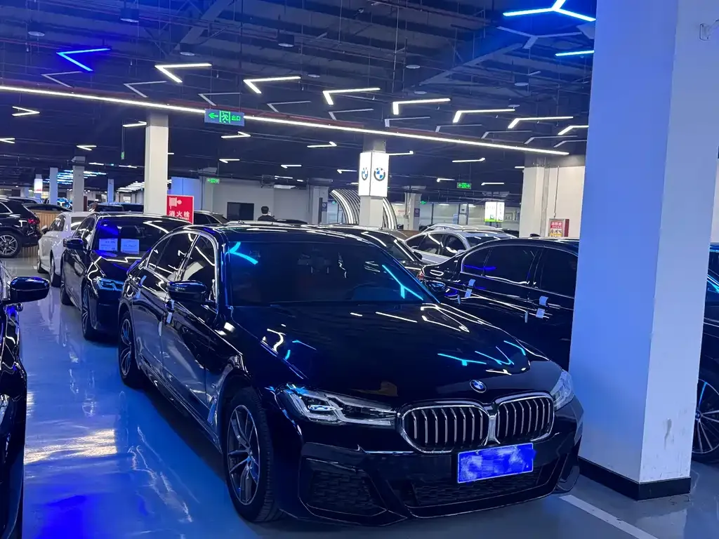 BMW 5 Series 2022 из CN, фото 2