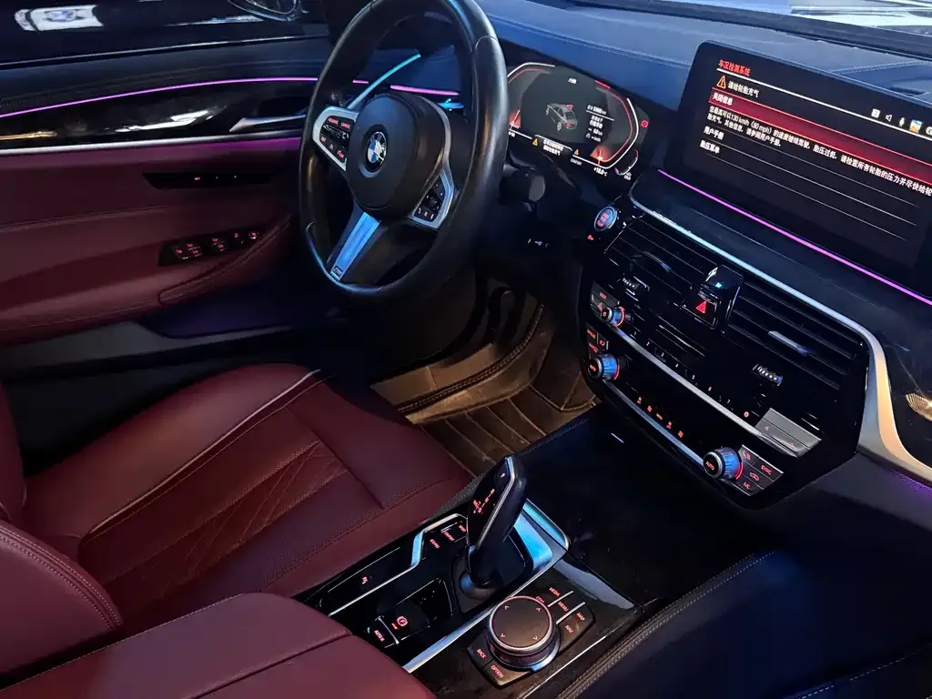 BMW 5 Series 2022 из CN, фото 6
