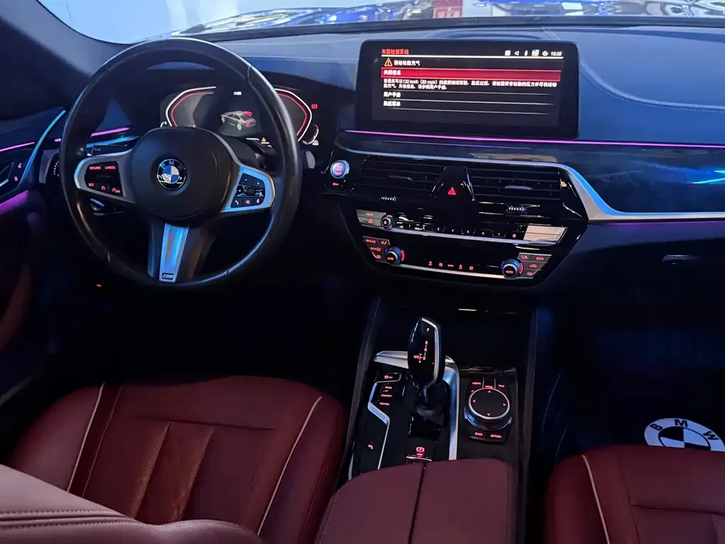 BMW 5 Series 2022 из CN, фото 9