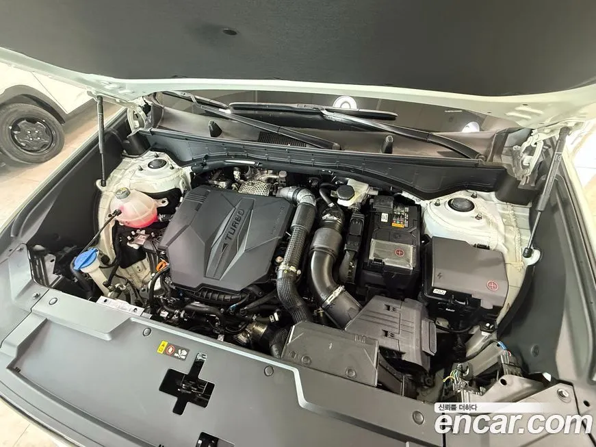 Hyundai Santafe 2025 из KR, фото 10