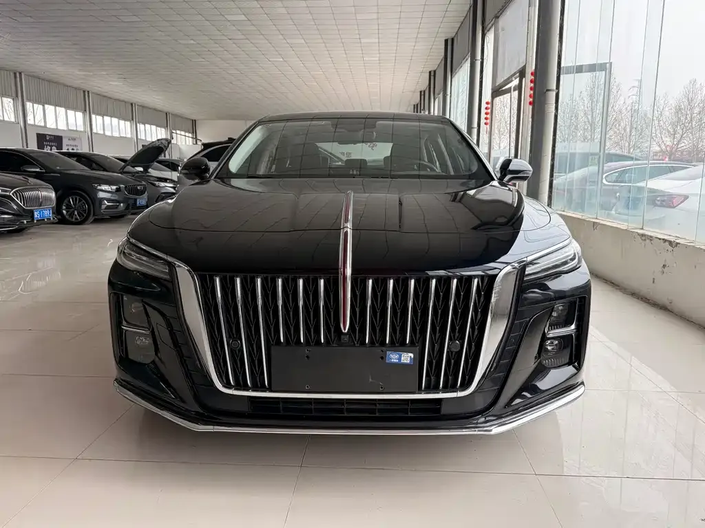 Hongqi H5 2023 из CN, фото 4