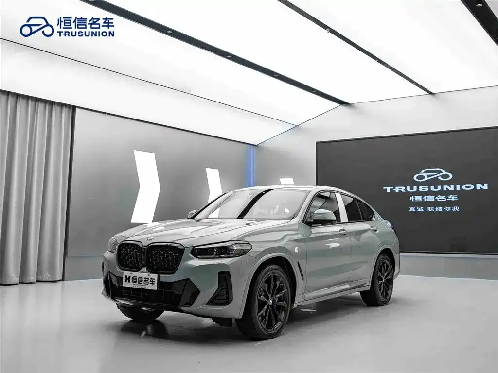 BMW X4 2022 из CN, фото 10
