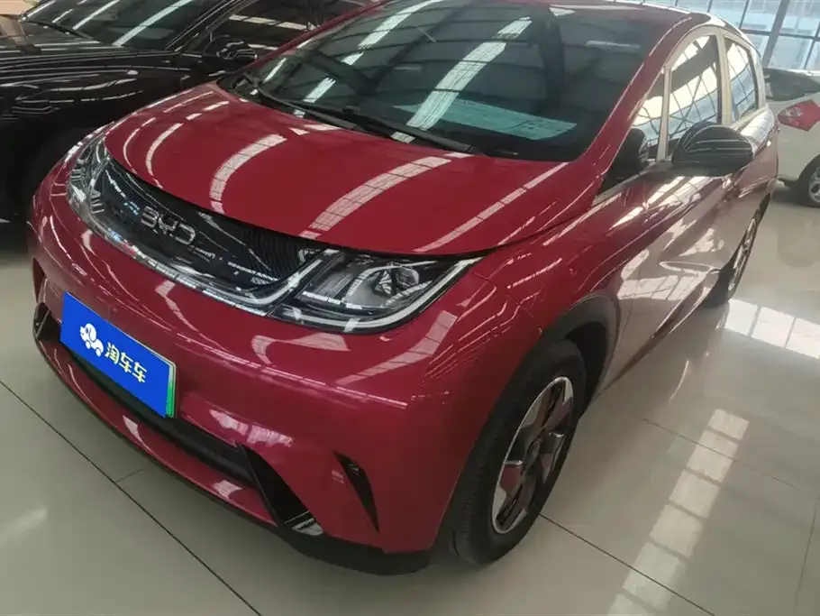 BYD Dolphin 2024 из CN, фото 1