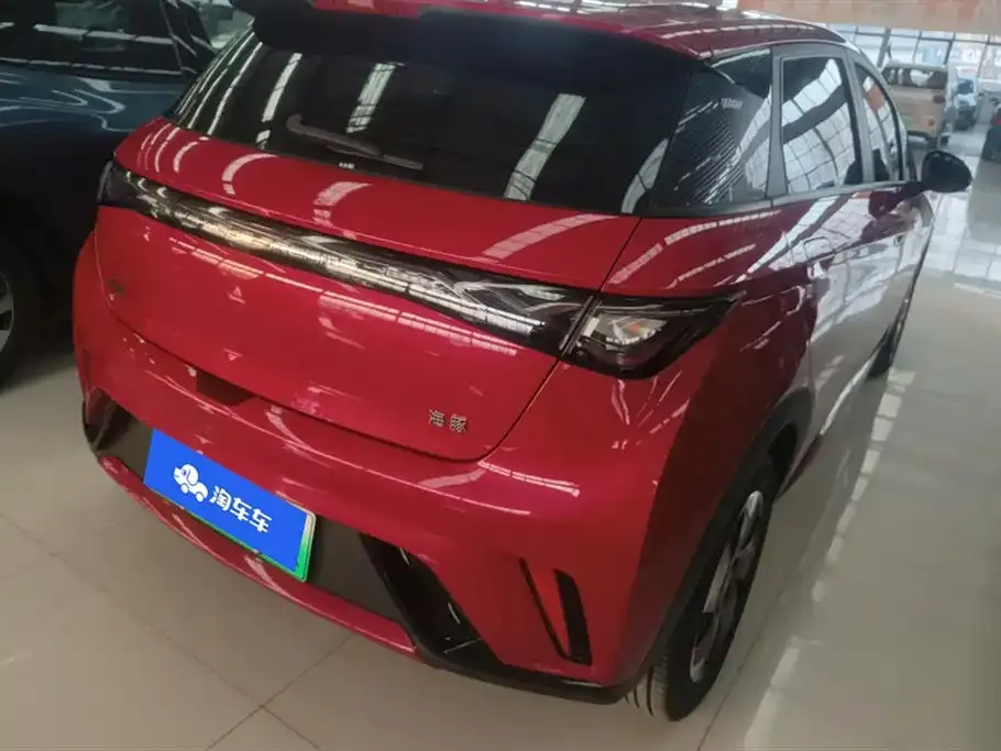 BYD Dolphin 2024 из CN, фото 2