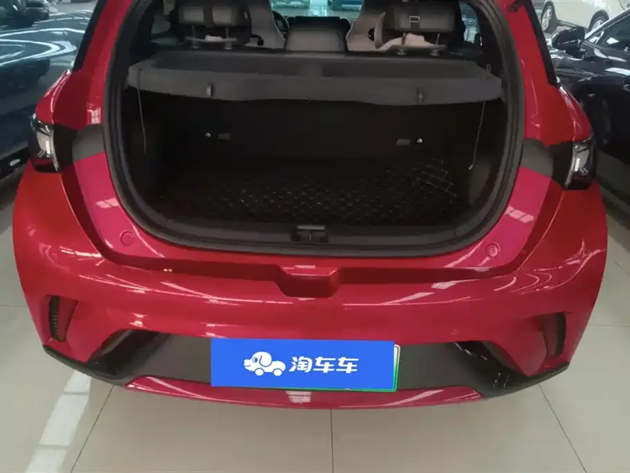 BYD Dolphin 2024 из CN, фото 6