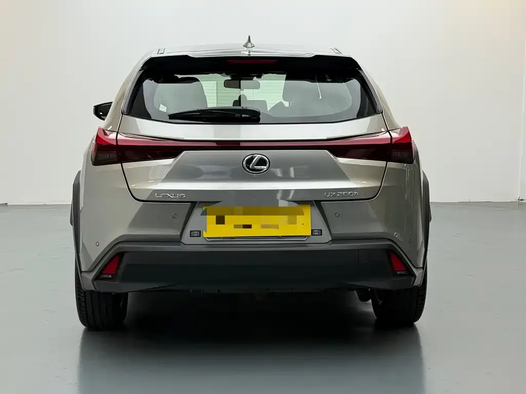 Lexus UX 2024 из CN, фото 2