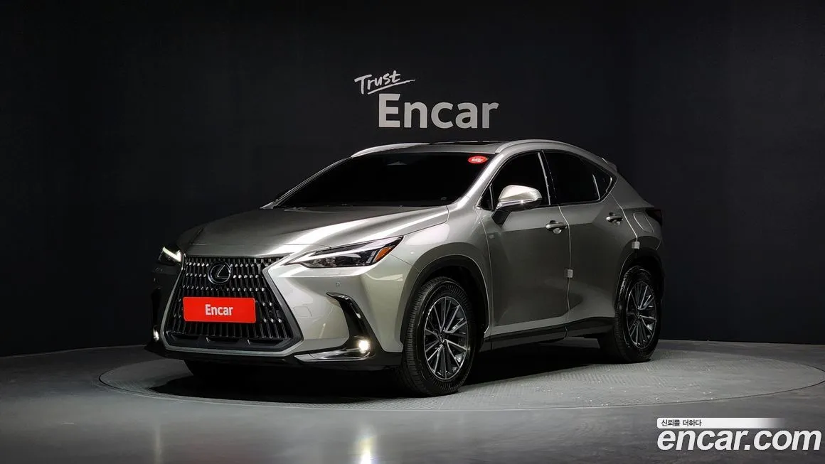 Lexus NX 2025 из KR, фото 1