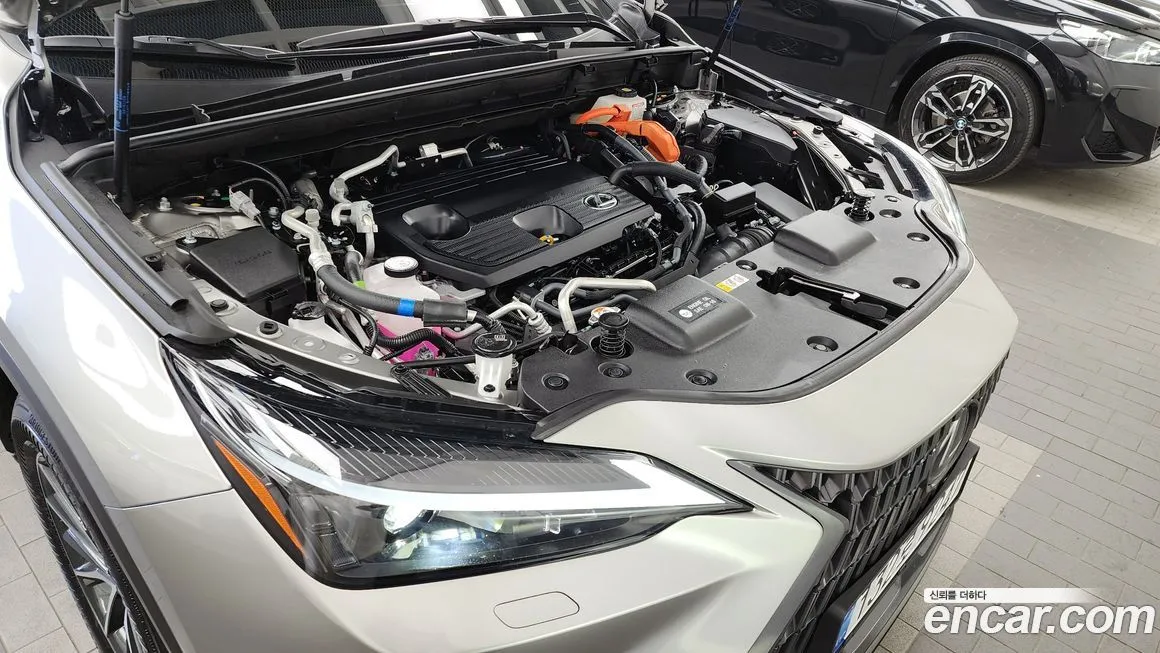 Lexus NX 2025 из KR, фото 6