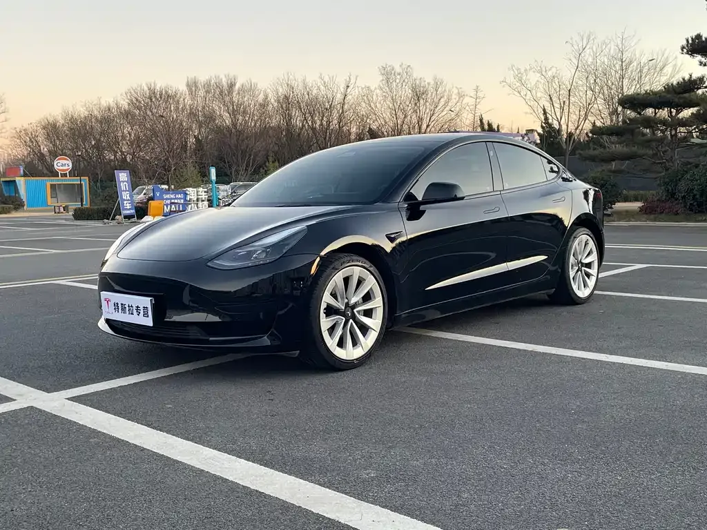 Tesla Model 3 2023 из CN, фото 1