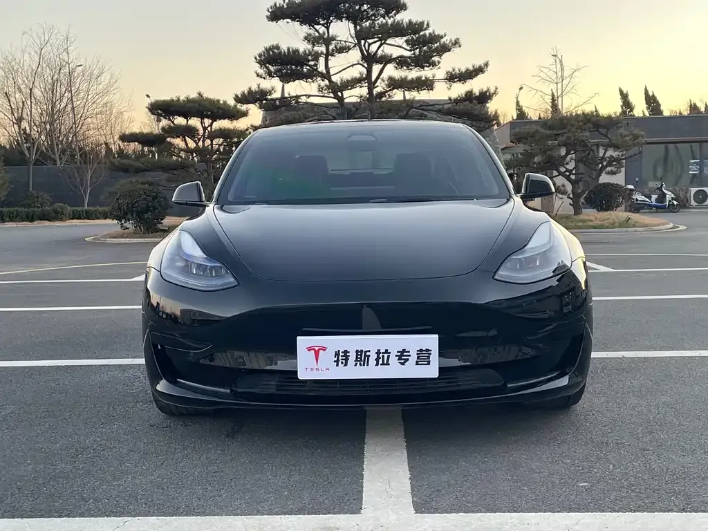 Tesla Model 3 2023 из CN, фото 4