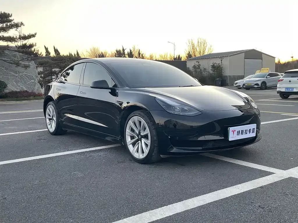 Tesla Model 3 2023 из CN, фото 2