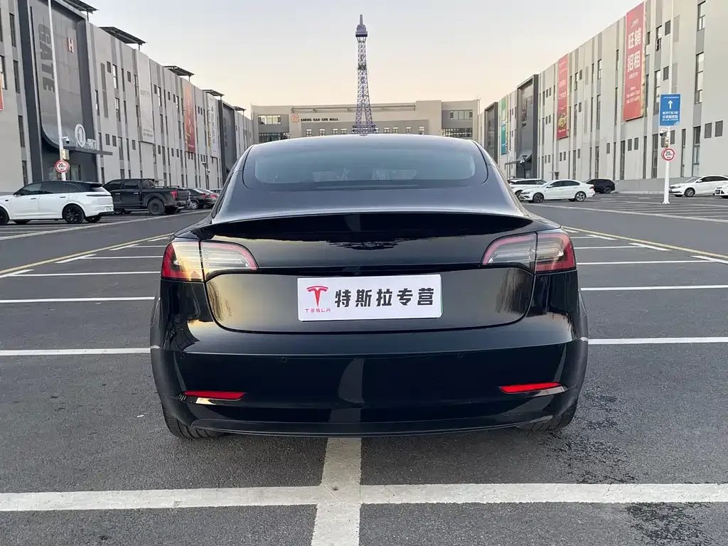 Tesla Model 3 2023 из CN, фото 6