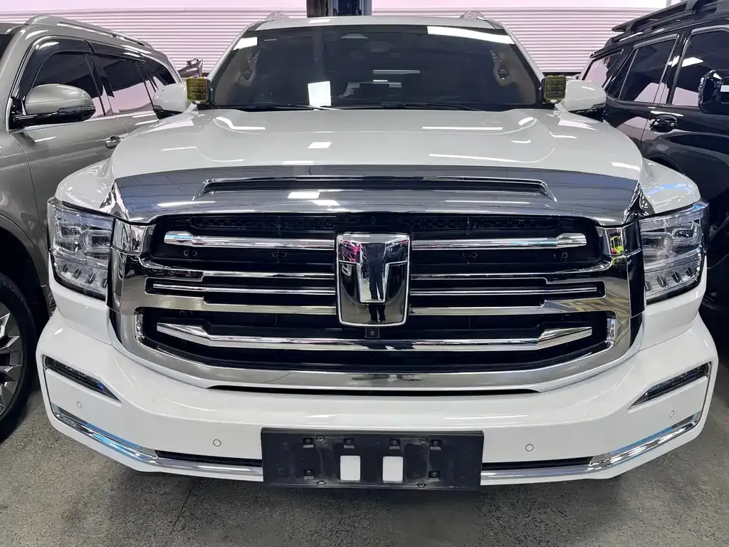 Tank 500 New Energy 2023 из CN, фото 6