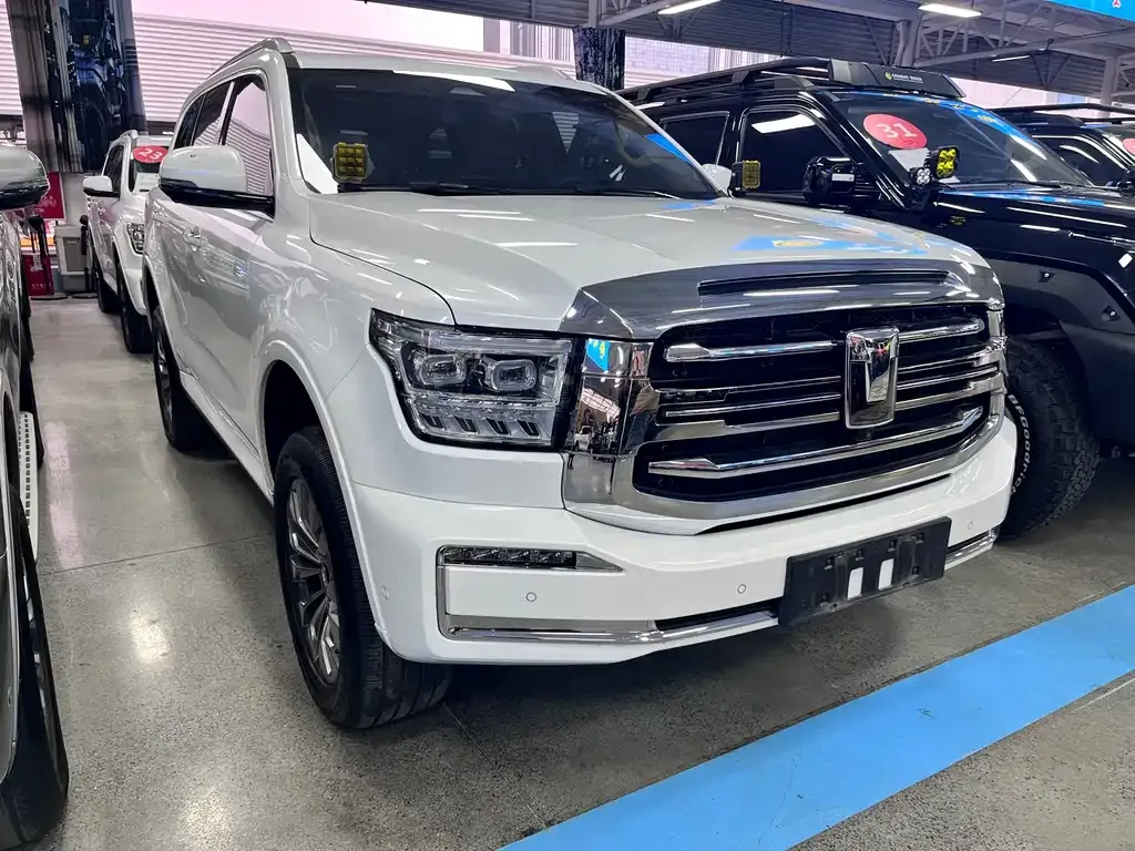 Tank 500 New Energy 2023 из CN, фото 10