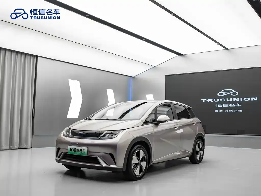 BYD Dolphin 2023 из CN, фото 1