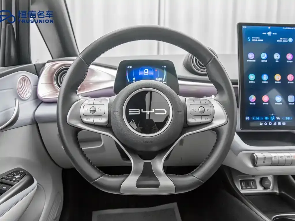 BYD Dolphin 2023 из CN, фото 9
